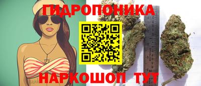 стаф Краснокаменск